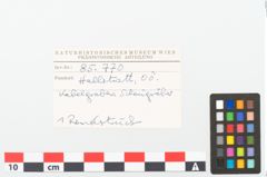 Foto von Keramikgefäß (NHMW-PRAE-085770)